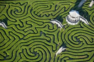 The maze at Longleat in the UK - from mirror.co.uk